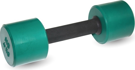 Гантель MB Barbell MB-Fit 4 kg